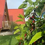Отель Noel & Cafe Zumrutkaya